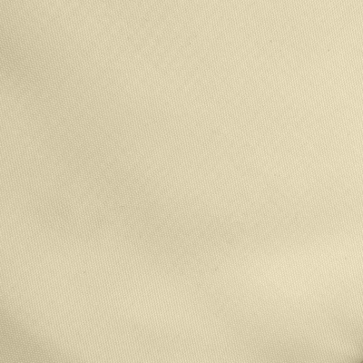 Ткань подкладочная Таффета 14-1014, антист., 53 гр/м2, шир.150см, цвет бежевый - купить в Челябинске. Цена 62.37 руб.