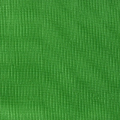 Ткань подкладочная Таффета 17-6153, 48 гр/м2, шир.150см, цвет трава - купить в Челябинске. Цена 46 руб.