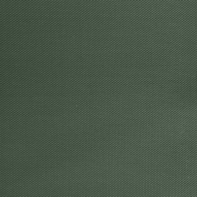 Оксфорд (Oxford) 240D 19-5917, PU/WR, 115 гр/м2, шир.150см, цвет т.зелёный - купить в Челябинске. Цена 152.54 руб.