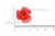 Украшение "Розы малые №1" 20мм - купить в Челябинске. Цена: 32.49 руб.