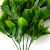 Трава искусственная -1, шт (эвкалипт лист 32 см/8 см)				 - купить в Челябинске. Цена: 171.67 руб.