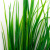 Трава искусственная -2, шт (осока 41см/8 см)				 - купить в Челябинске. Цена: 104.57 руб.