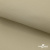 Ткань подкладочная TWILL 230T 14-1108, беж светлый 100% полиэстер,66 г/м2, шир.150 cм - купить в Челябинске. Цена 90.59 руб.