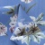 Плательная ткань "Фламенко" 12.1, 80 гр/м2, шир.150 см, принт растительный - купить в Челябинске. Цена 241.49 руб.