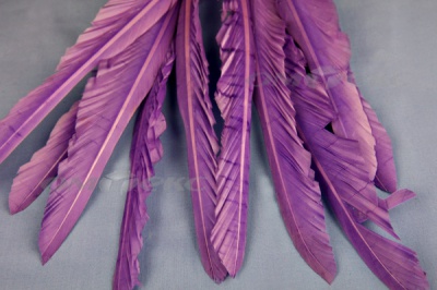 Декоративный Пучок из перьев, перо 25см/фиолетовый - купить в Челябинске. Цена: 12.19 руб.