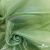 Ткань органза, 100% полиэстр, 28г/м2, шир. 150 см, цв. #27 зеленый - купить в Челябинске. Цена 86.24 руб.