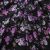 Плательная ткань "Фламенко" 20.1, 80 гр/м2, шир.150 см, принт растительный - купить в Челябинске. Цена 241.49 руб.