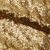 Сетка с пайетками №3, 188 гр/м2, шир.140см, цвет золотой - купить в Челябинске. Цена 454.12 руб.