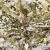 Трикотажное полотно, Сетка с пайетками, шир.130 см, #315, цв.-белый/золото - купить в Челябинске. Цена 693.39 руб.