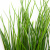 Трава искусственная -4, шт  (осока 50 см/8 см  7 листов)				 - купить в Челябинске. Цена: 130.73 руб.