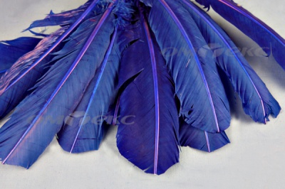 Декоративный Пучок из перьев, перо 23см/синий - купить в Челябинске. Цена: 12.34 руб.