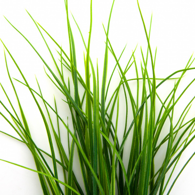 Трава искусственная -3, шт (осока 50 см/8 см  5 листов)				 - купить в Челябинске. Цена: 124.17 руб.