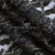 Кружевное полотно XD LACE 1-4, 80 гр/м2, шир.150см, цвет чёрный - купить в Челябинске. Цена 245.94 руб.